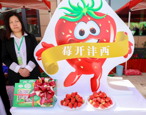 微信圖片_20211119093125.png